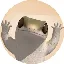 Dancing Lizard Coin
