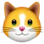 Convertitore e calcolatore di KittenFinance (KIF)