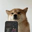 SelfieDogCoin(SELFIE)とは