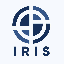 Apa itu IRIS Chain(IRIS)