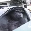 Convertitore e calcolatore di Gorilla In A Coupe (GIAC)