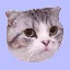 Конвертер і калькулятор Taylor Swift's Cat MEREDITH (MEREDITH)