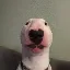 Máy tính và chuyển đổi walter (WALTER)