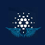 Adadex Tools Narxi