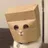 ZCAT