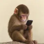 Nədir apeonfone(FONE)