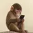 FONE