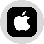 Apple Tokenized Stock (Ondo) 价格