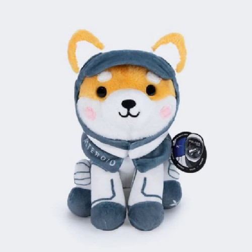 Qu'est-ce que Asteroid Shiba(ASTEROID)