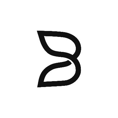 Цена B.AI