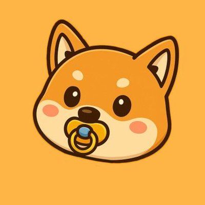 Prix de Baby Inu