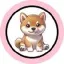 Conversor e calculadora de Baby Neiro (ERC20) (BABYNEIRO)