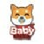 Prezzo di Baby Shiba