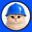 Basecat(BASECAT)转换器和计算器
