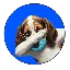 Convertitore e calcolatore di BaseHoundBot by Virtuals ($HOUND)