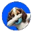 $HOUND