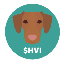 Що таке Hungarian Vizsla Inu(HVI)