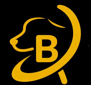 Preço de Bdog