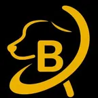 أداة تحويل وحاسبة عملة Bdog (Bdog)