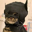 batcat price