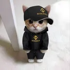 binance cat (bcat)コンバーターと計算機