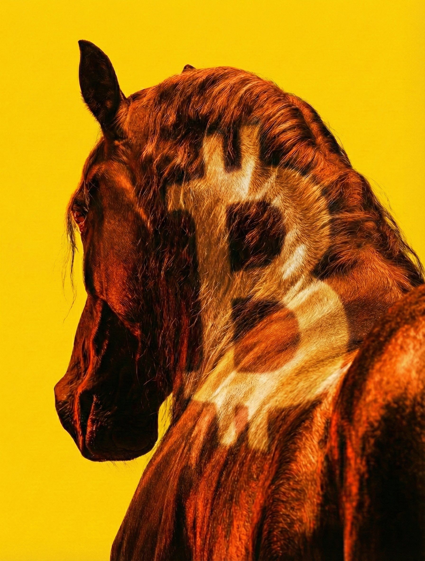 Was ist Binance Dark horse(DARK)