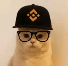 Hướng dẫn cách bán Binance Smart Cat (BSC)