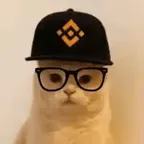 Konwerter i kalkulator Binance Smart Cat (BSC)