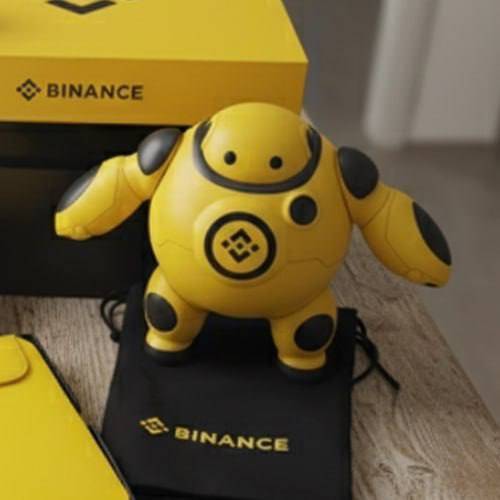 什么是 Binance yellow robot(BINA)
