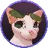 BINGUS