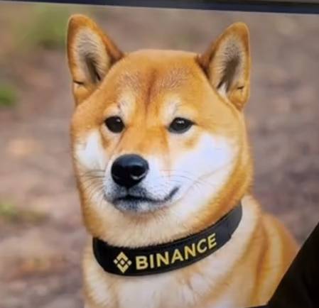 Precio de BINU