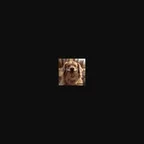 bitdog (bitdog) Konverter und Rechner