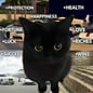 Prezzo di Black Cats Are Not Bad Luck
