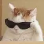 BluffCat (BLUFF) converter and calculator