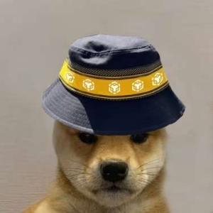 Цена BNB DOGE