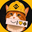BINANCE CAT (bnbcat.site)