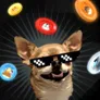 BNBdog