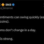 BNBs (BNB STRONG) converter at calculator