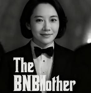 BNB之母 价格