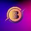 BNS COIN(BNS)とは