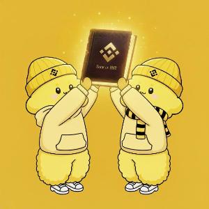 BOOK OF BNB 价格
