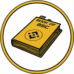 Prezzo di Book Of BSC