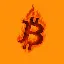 Convertitore e calcolatore di Burncoin (BURN)