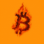 Burncoin price