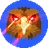 QOM