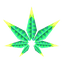 Cannadrix
