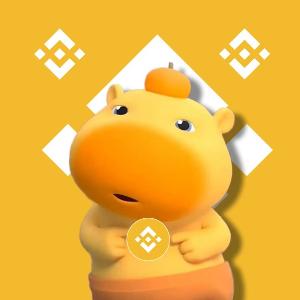What is Capybara LULU(LULU)