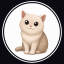 Was ist Cash Cat (cashcat.store)(CASHCAT)