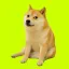 Conversor y calculadora de Cash Dog (cashdog.club) (CASHDOG)