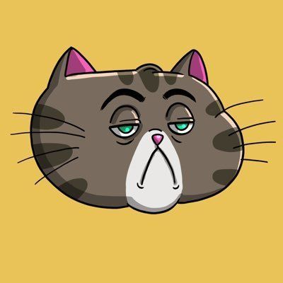 CATFATHER Narxi